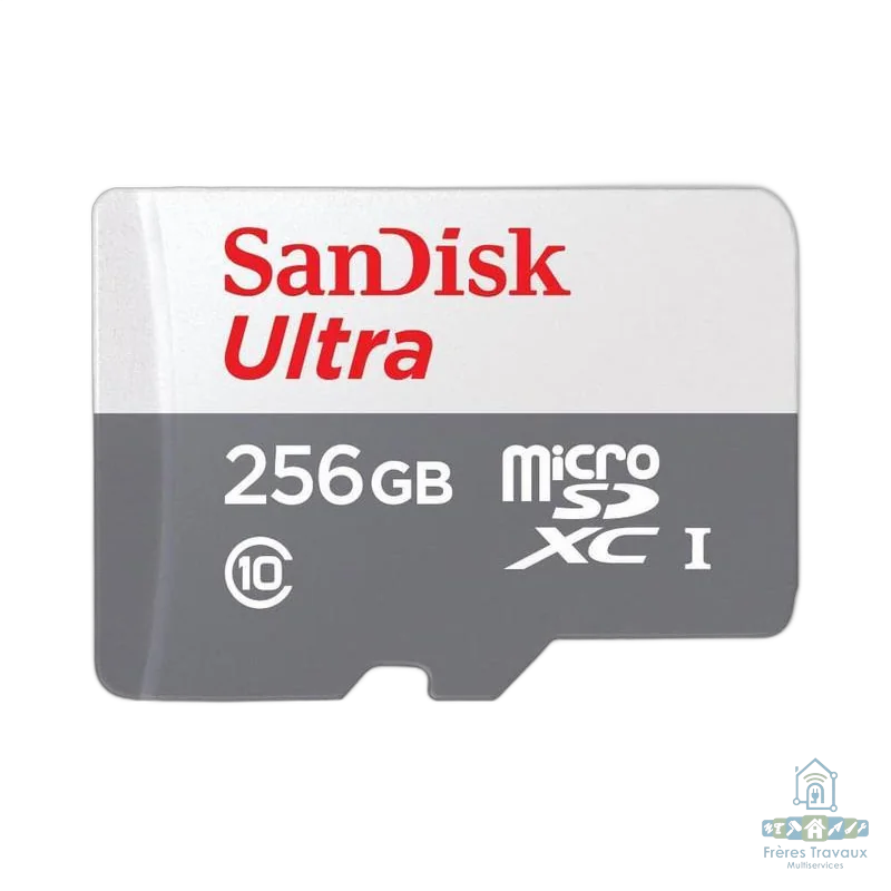 SanDisk Ultra 256 Go MicroSDXC UHS-I Classe 10